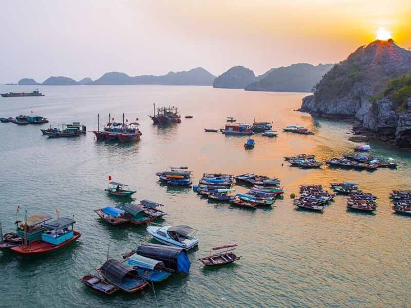 Cai Beo Floating Village